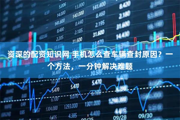 资深的配资知识网 手机怎么查车辆查封原因？一个方法，一分钟解决难题